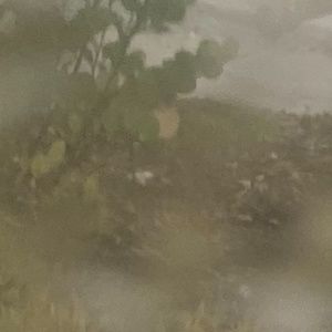 Meet your Posher, Ej